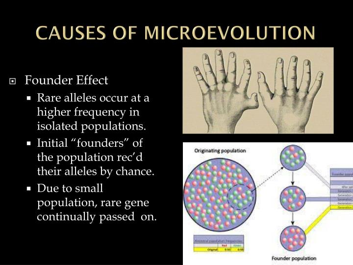 Causes Of Microevolution _ An introduction to microevolution: rate ...