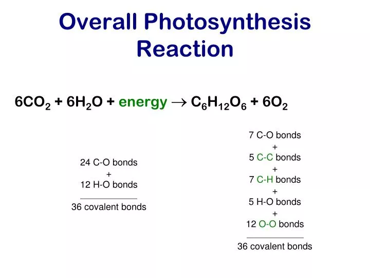 PPT - Overall Photosynthesis Reaction PowerPoint Presentation, free