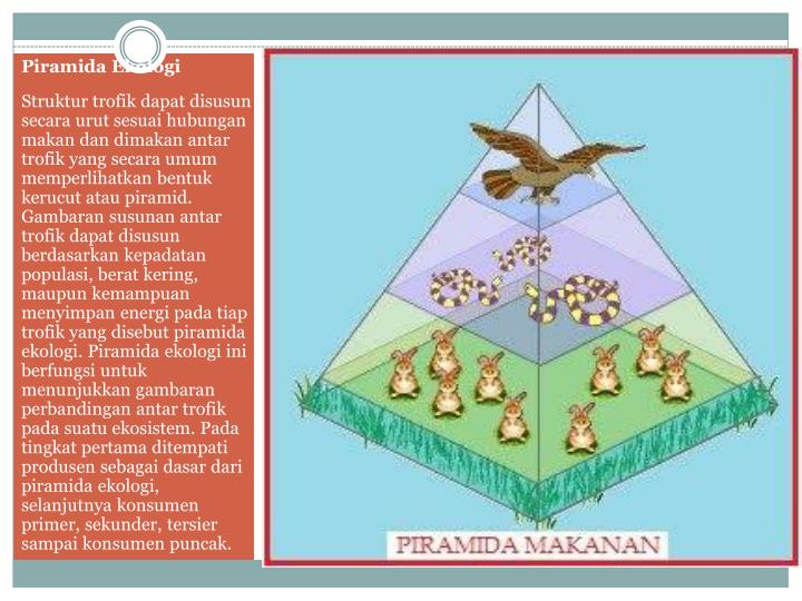 PPT - CREATED BY DANIK MARGOWATI,S.Pd PENGAMPU MAPEL 