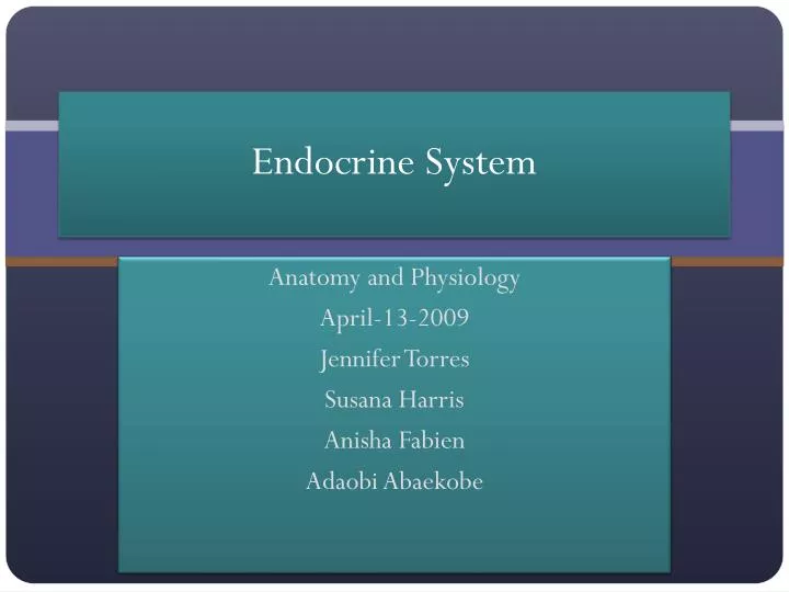 endocrine system n.