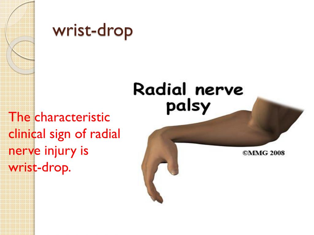 PPT WINDSOR UNIVERSITY SCHOOL OF MEDICINE St.Kitts PowerPoint