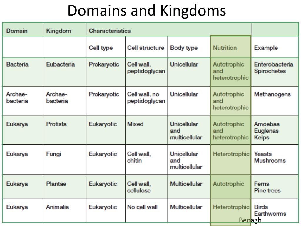 Kingdoms And Domains Chart kingdoms-and-domains-chart