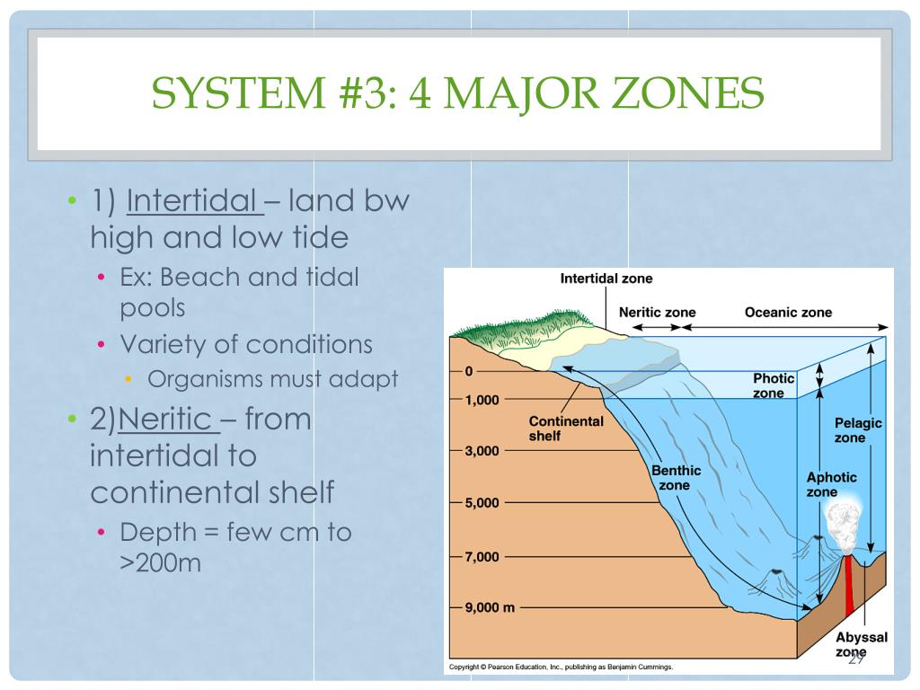 tidal pools vs cumulative upkeep tidal pools vs cumulative upkeep