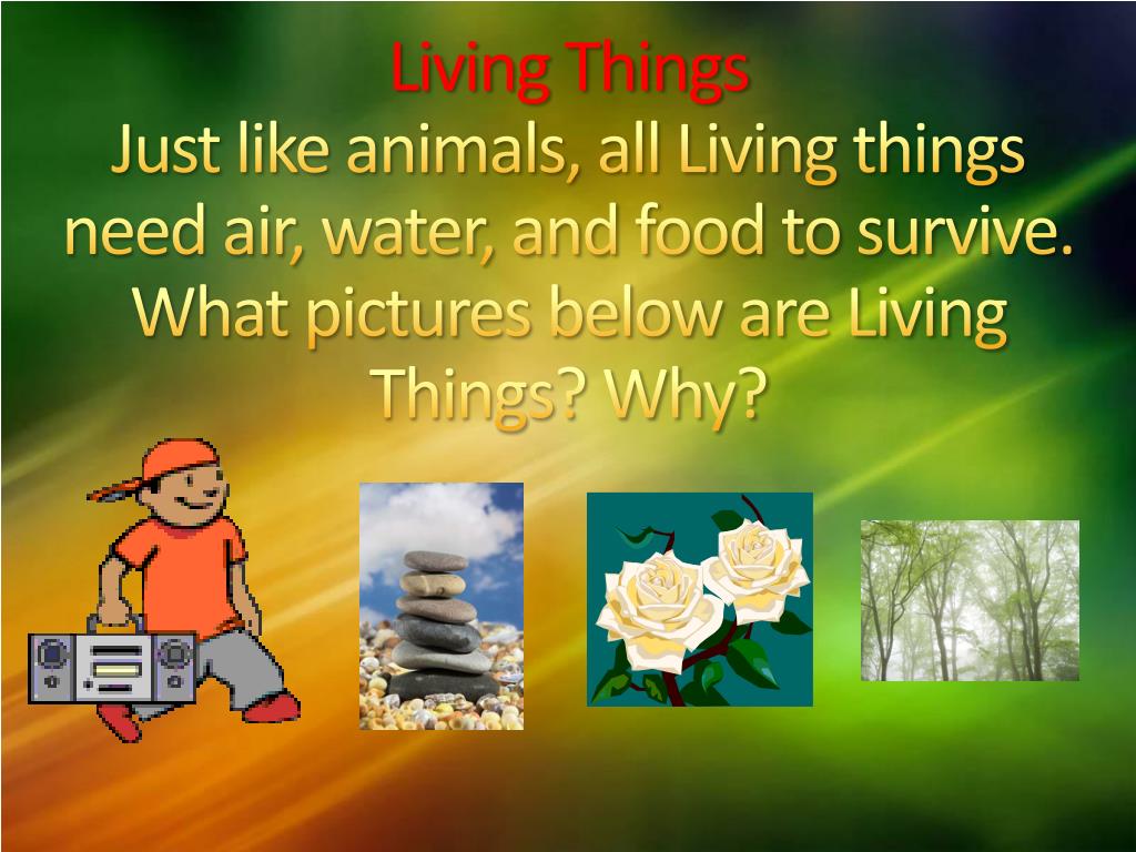 PPT What are Living things and NonLiving things? PowerPoint