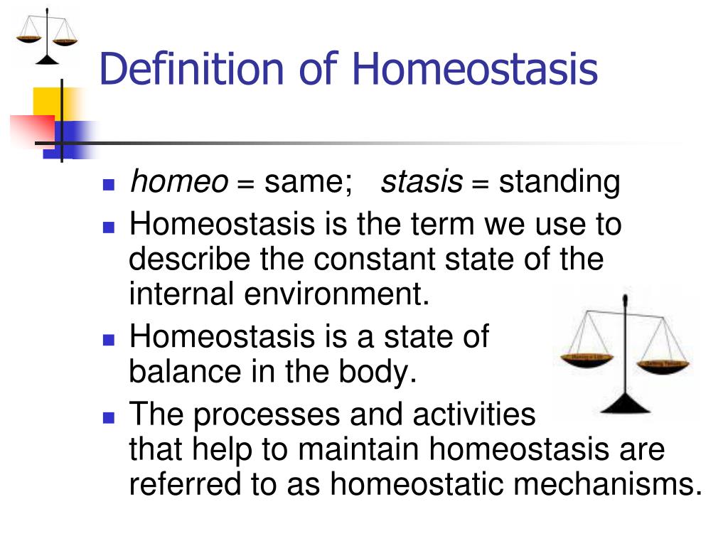 Definition Of Environmental Homeostasis - definitoin