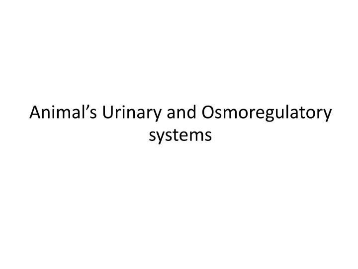 excretion and osmoregulation essay Answer to excretory system abstract introduction excretory system is also known as excretion is also a regulatory system the osmoregulation or osmotic. excretion and osmoregulation essay Answer to excretory system abstract introduction excretory system is also known as excretion is also a regulatory system the osmoregulation or osmotic.