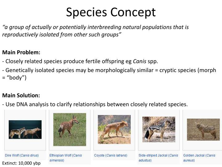 PPT - Biology 3.5 PowerPoint Presentation - ID:1996517
