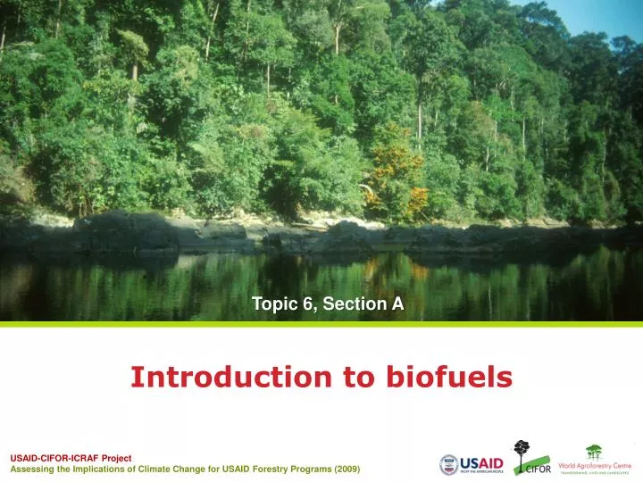 PPT - Introduction To Biofuels PowerPoint Presentation, Free Download ...