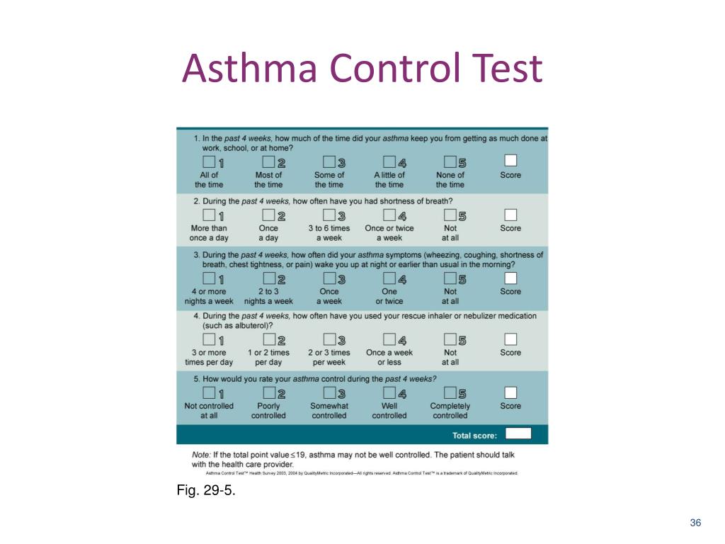 PPT - Chronic Pulmonary Diseases Asthma and COPD PowerPoint ...