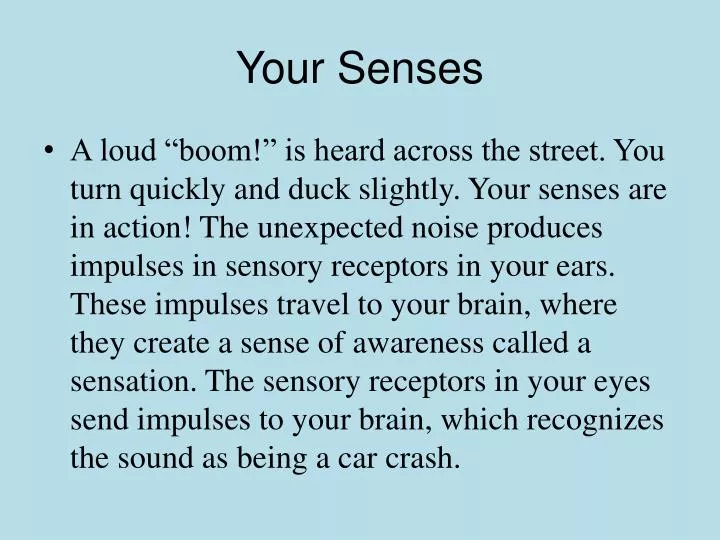 your senses n.