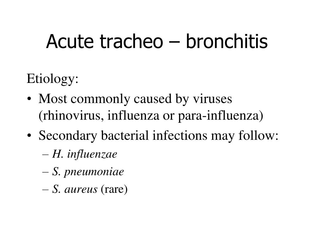 PPT Infections of the lower respiratory tract PowerPoint Presentation ID1997548