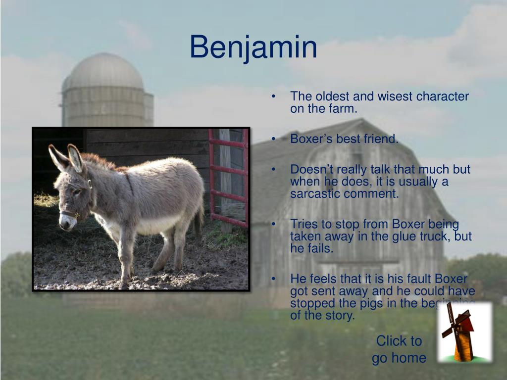 PPT - Animal Farm PowerPoint Presentation, free download - ID:1999086