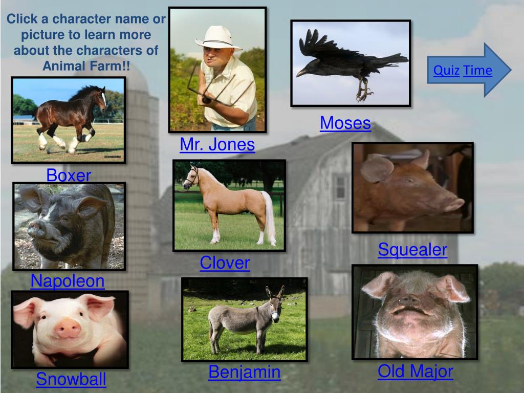 Animal Farm, Characters