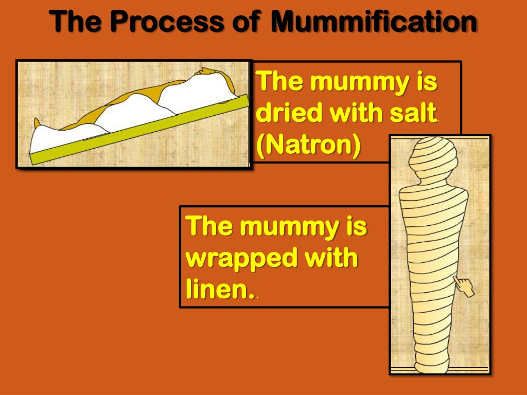 natron mummification process natron mummification process