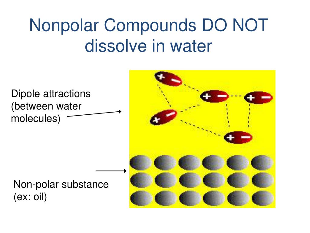 PPT - Unit 6: TOXINS Solutions & Kinetics! PowerPoint Presentation - ID