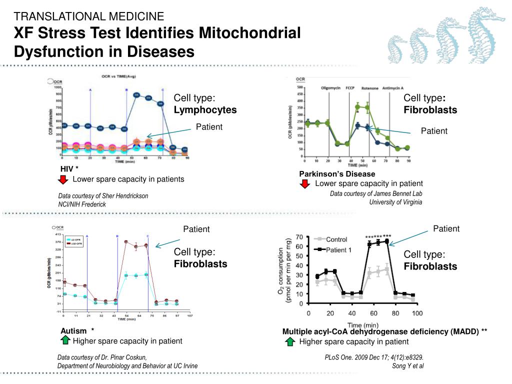 PPT Introduction to the XF Cell Mito Stress Test Assay PowerPoint PPT Introduction to the XF Cell Mito Stress Test Assay PowerPoint