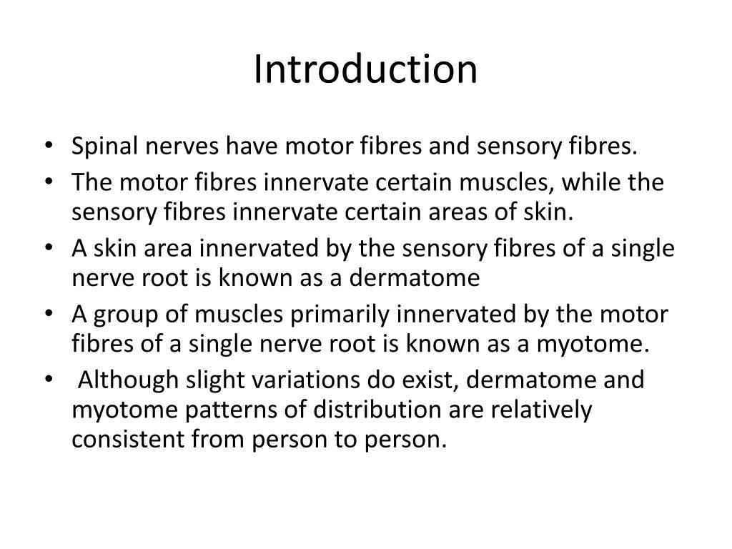 Dermatomes and Myotomes PowerPoint Presentation, free download ... Biology Diagrams