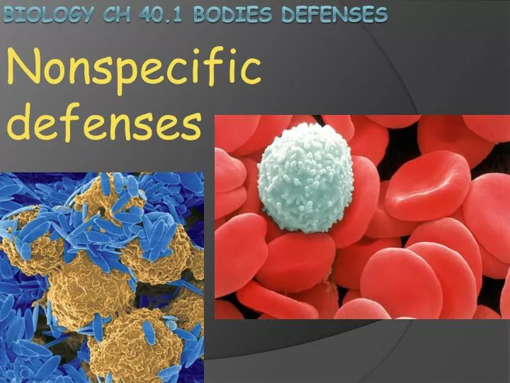 Ppt Biology Ch 40 1 Bodies Defenses Powerpoint