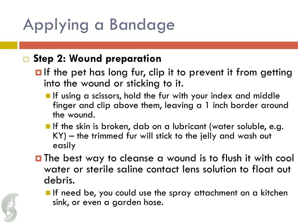 PPT - Bandaging PowerPoint Presentation, free download - ID:2000722