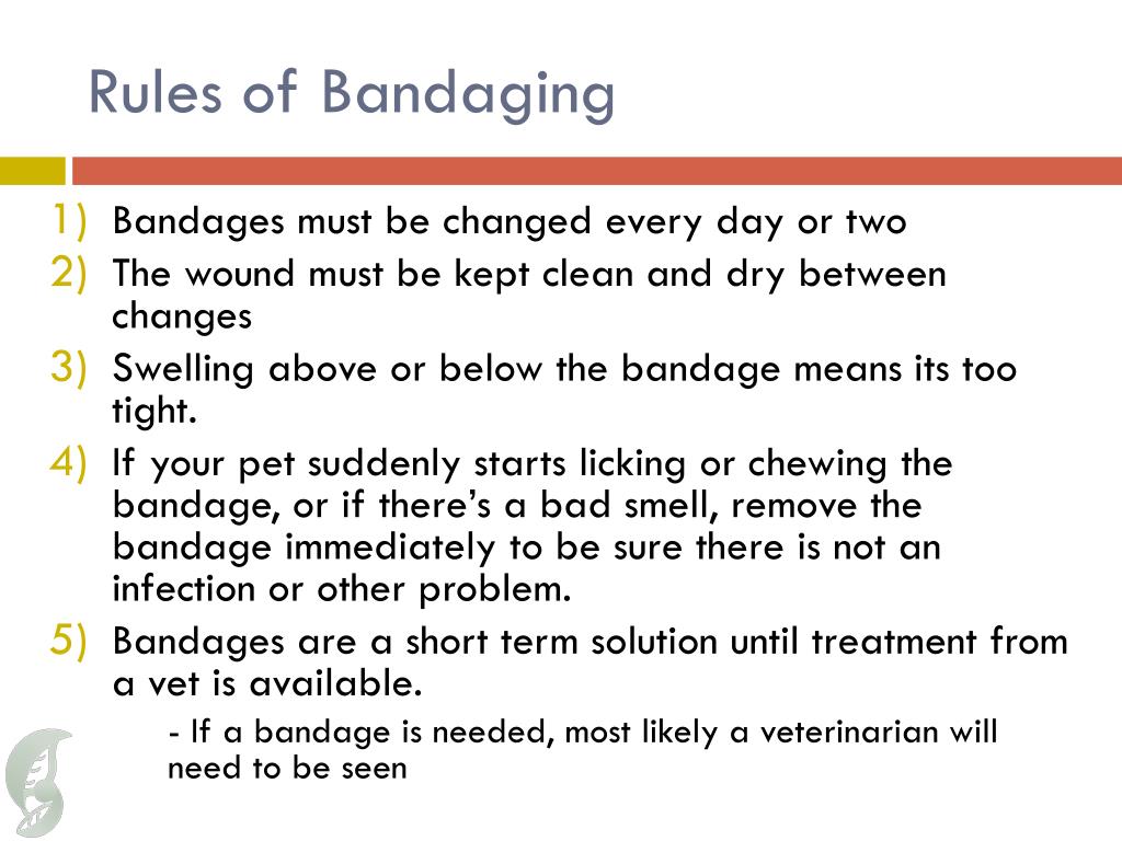 PPT - Bandaging PowerPoint Presentation, free download - ID:2000722