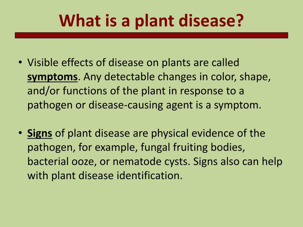 PPT - Introduction to Plant Pathology PowerPoint Presentation, free
