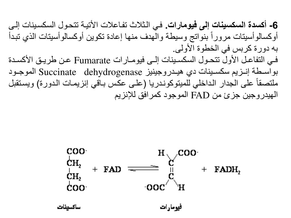 Ppt كيمياء حيوية عامة Bch 101 أيض الكربوهيدرات Carbohydrate