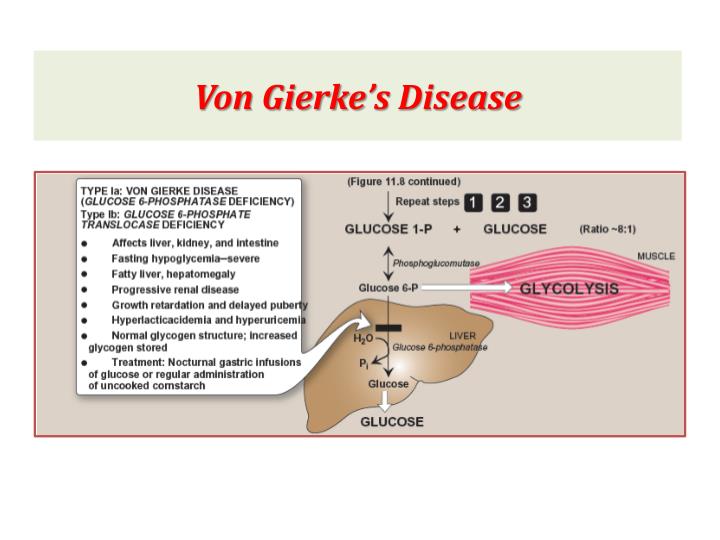 a p i skeletal lecture 1 Human anatomy home lecture notes and study guides markings and general skeletal bones study tables 61 and 62 and figure 71 quiz on. a p i skeletal lecture 1 Human anatomy home lecture notes and study guides markings and general skeletal bones study tables 61 and 62 and figure 71 quiz on.