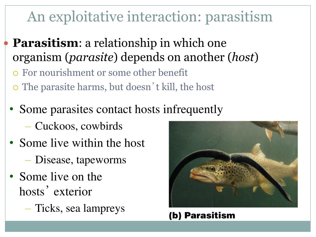 Ppt Chapter 4 Species Interactions And Community Ecology