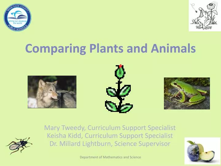 PPT - Comparing Plants and Animals PowerPoint Presentation, free ...