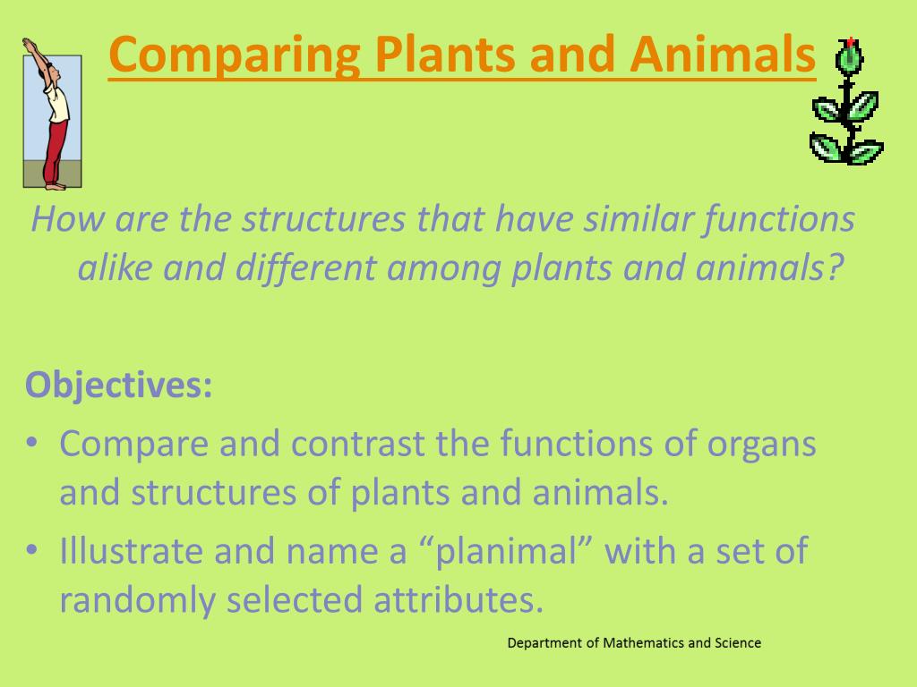 PPT - Comparing Plants and Animals PowerPoint Presentation, free download -  ID:2002055