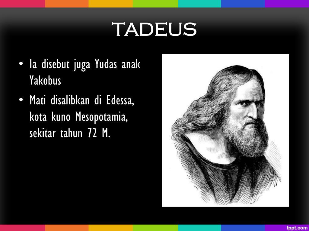 Have you heard of a tadeus bodnar