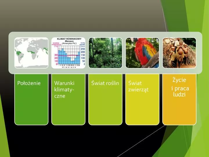 Ciekawostki Wilgotnego Lasu Równikowego PPT - Krajobraz lasu równikowego- położenie PowerPoint Presentation