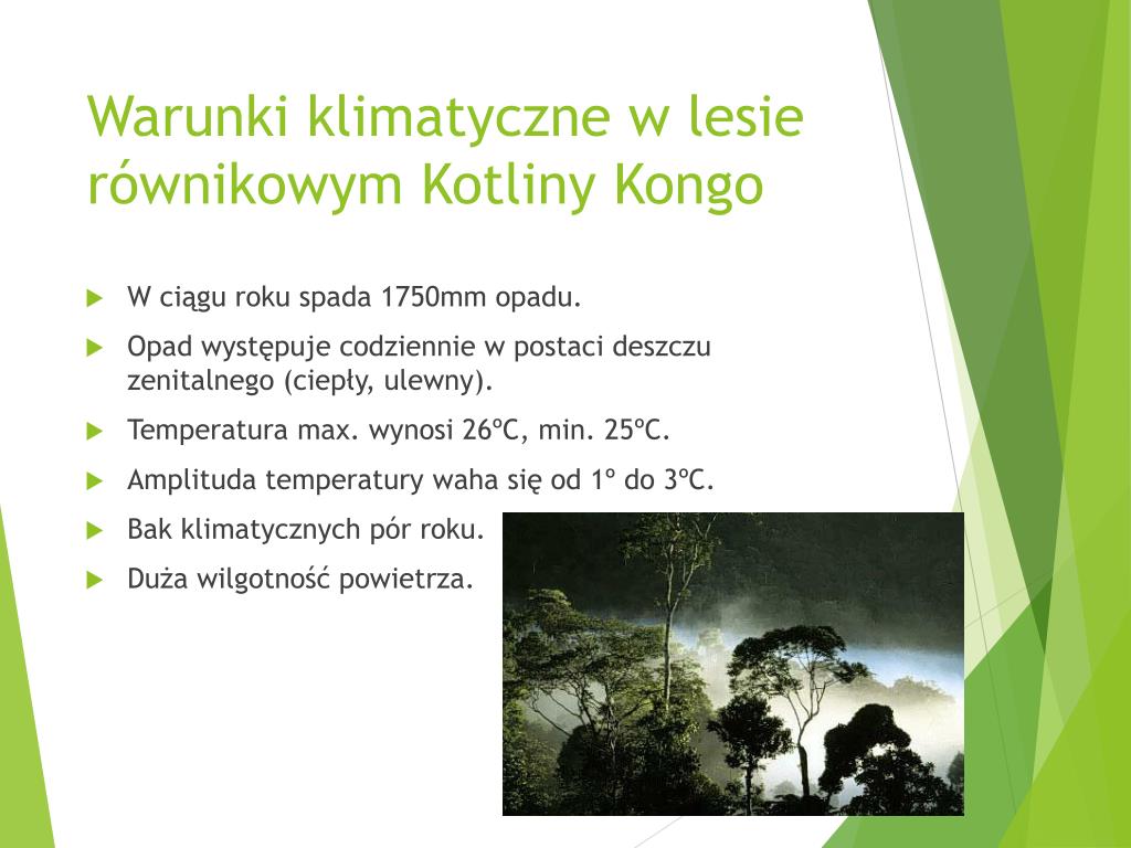 Ciekawostki Wilgotnego Lasu Równikowego PPT - Krajobraz lasu równikowego- położenie PowerPoint Presentation