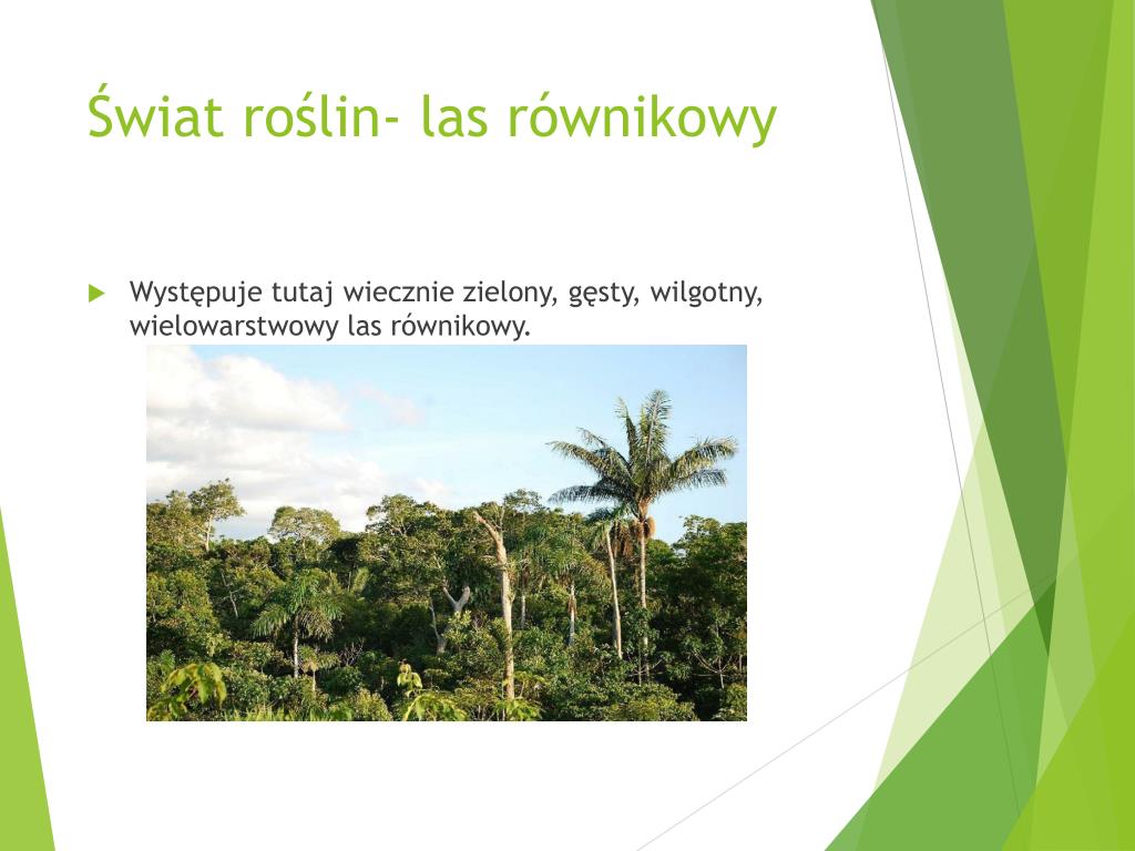 Ciekawostki Wilgotnego Lasu Równikowego PPT - Krajobraz lasu równikowego- położenie PowerPoint Presentation
