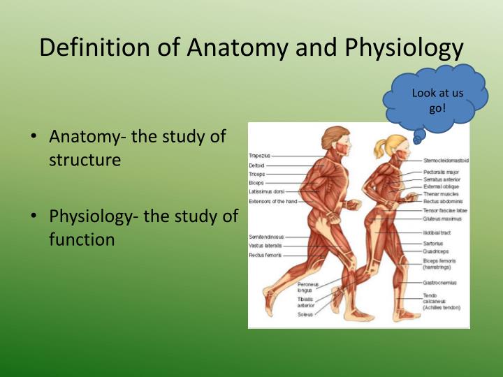transmit definition physiology transmit definition physiology