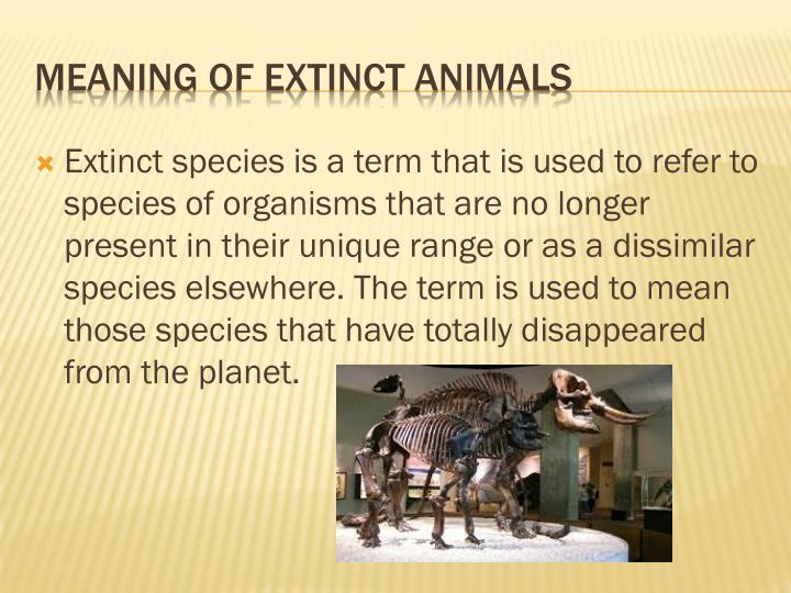 PPT Extinct Animals PowerPoint Presentation ID 2002904