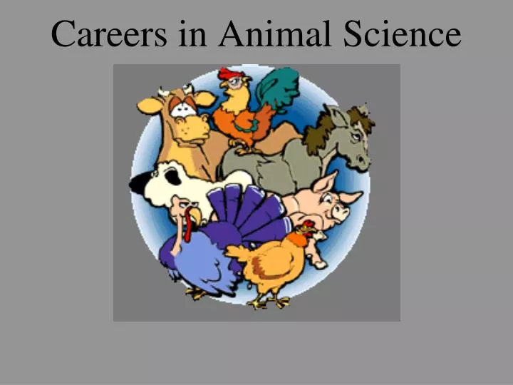PPT - Careers in Animal Science PowerPoint Presentation, free download - ID:2003279 PPT - Careers in Animal Science PowerPoint Presentation, free download - ID:2003279