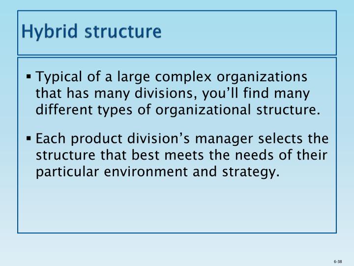 PPT Designing Organizational Structure Specialization And