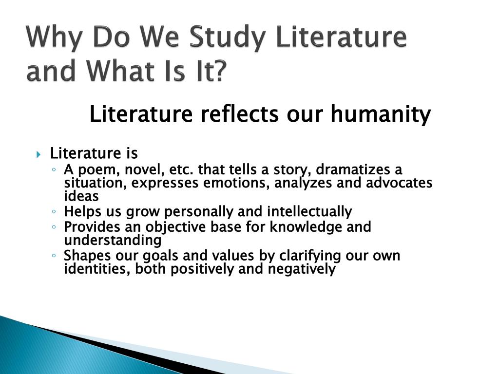 why we need to study the literature