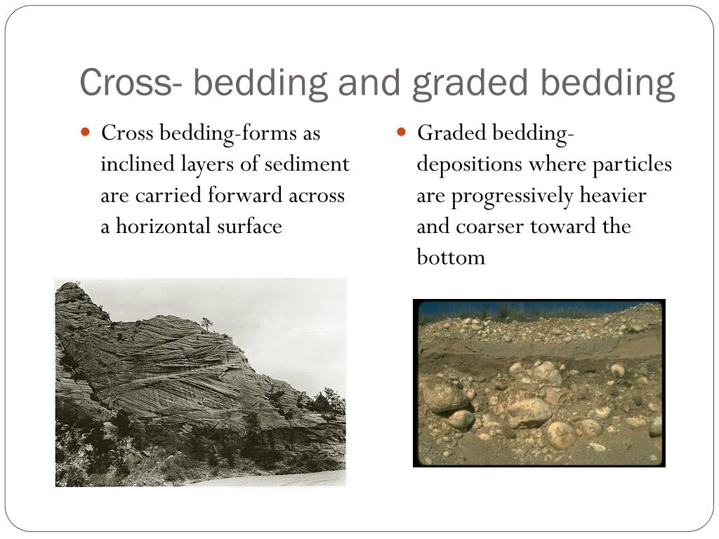 PPT Daily Science (pg. 14) PowerPoint Presentation, free download