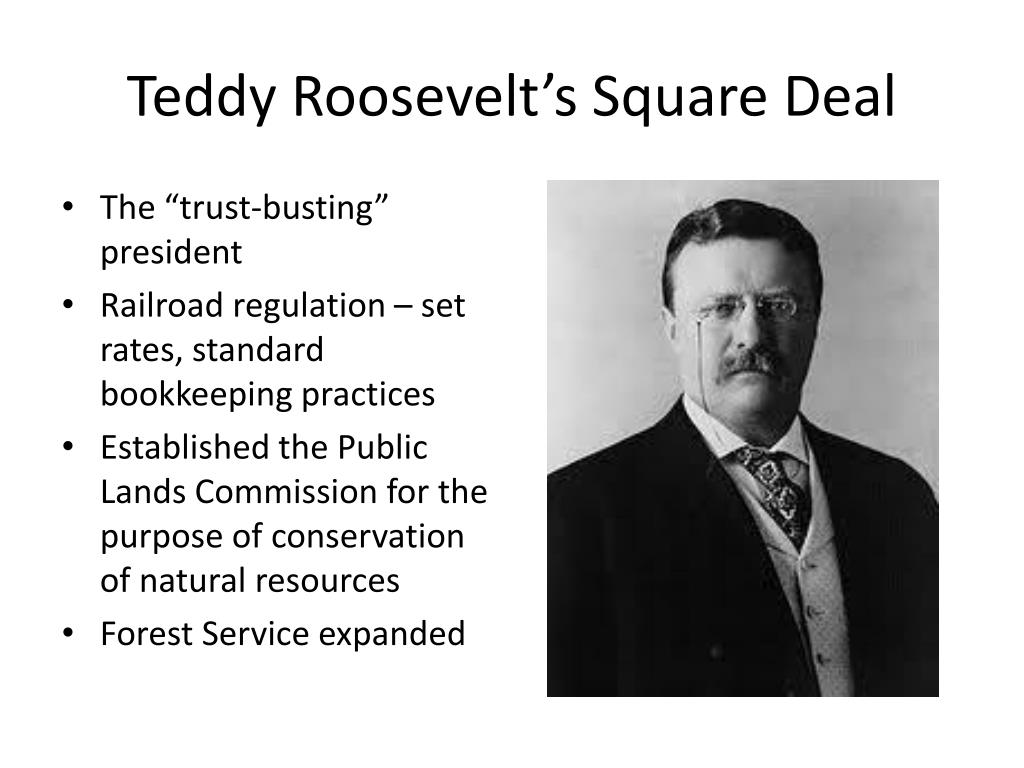 Teddy Roosevelt Square Deal Worksheet
