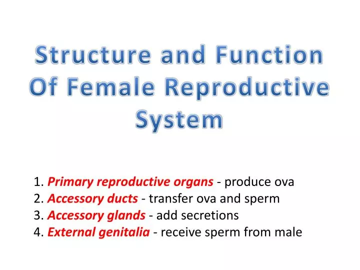 PPT - Structure and Function Of Female Reproductive System PowerPoint ...