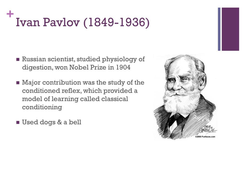 Читать вел павлов эрсус. Physiologist Ivan Pavlov.