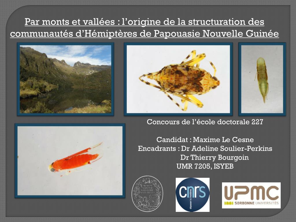 PPT - Concours de l’école doctorale 227 Candidat : Maxime Le Cesne