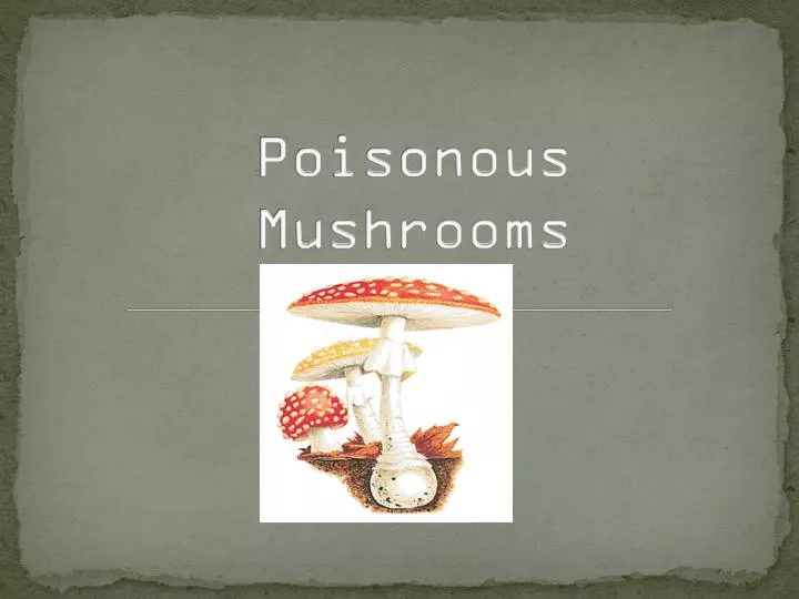 PPT Poisonous Mushrooms PowerPoint Presentation, free download ID2008296