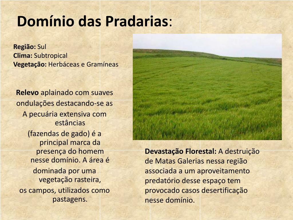 PPT - Trabalho sobre Domínio Morfoclimático PowerPoint Presentation ...