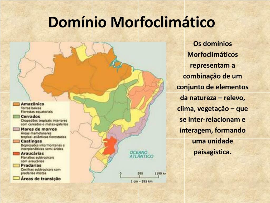 Qual o domínio brasileiro mais devastado?