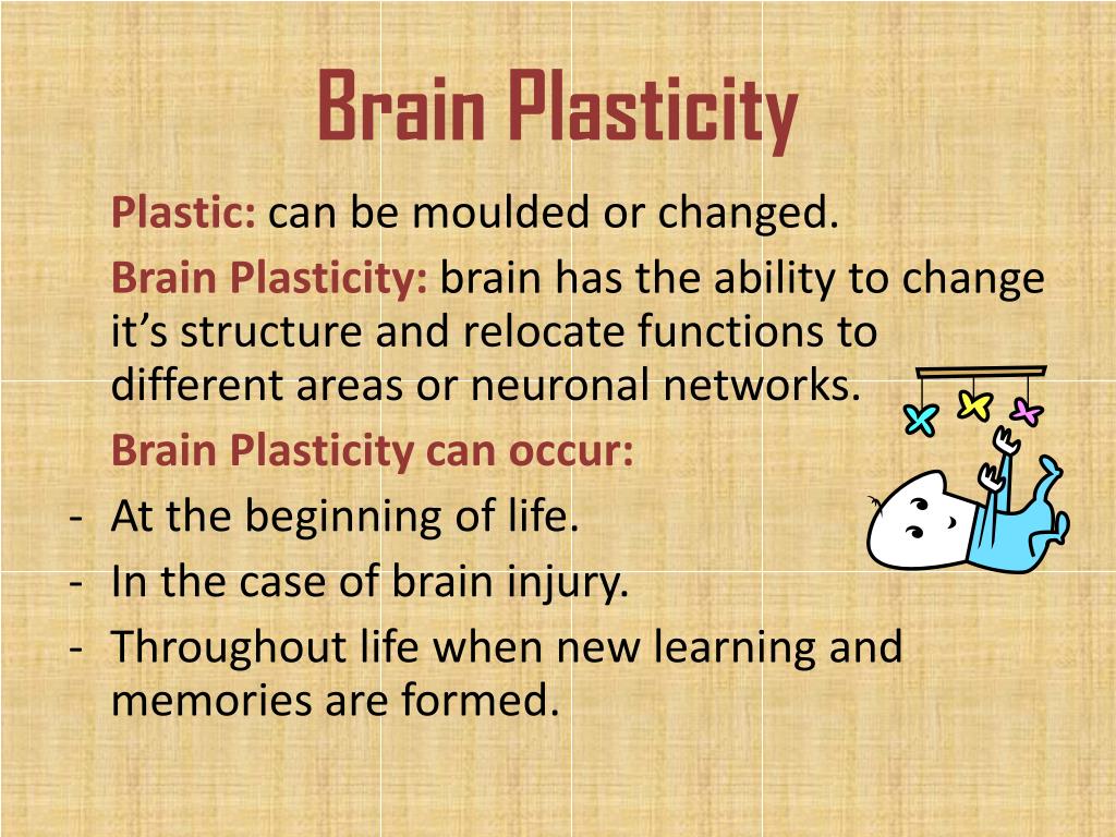 PPT Brain Plasticity PowerPoint Presentation Free Download ID 2011086