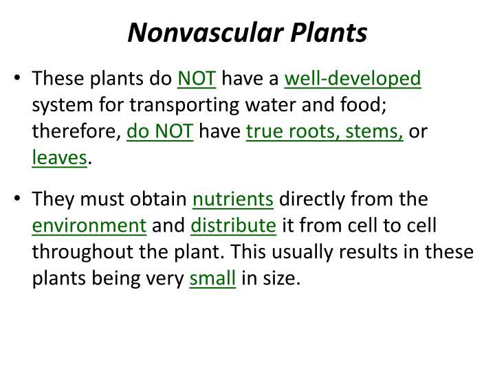 PPT WarmUp Compare and contrast the characteristics of vascular and