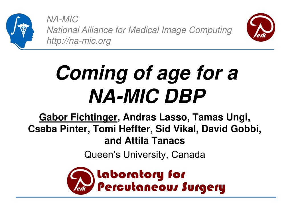 PPT - C oming of age for a NA-MIC DBP PowerPoint Presentation, free  download - ID:2011342